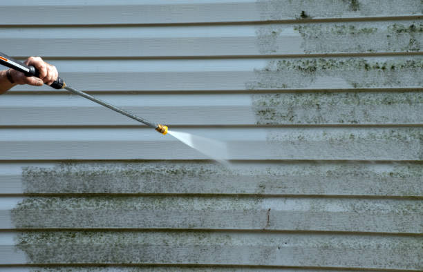 Best House Pressure Washing  in Ivyland, PA