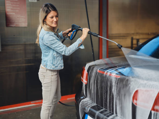 Best Pressure Washing Driveway  in Ivyland, PA